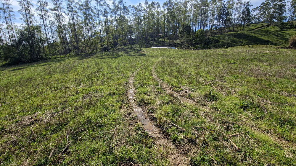 Terreno, 5 hectares - Foto 5