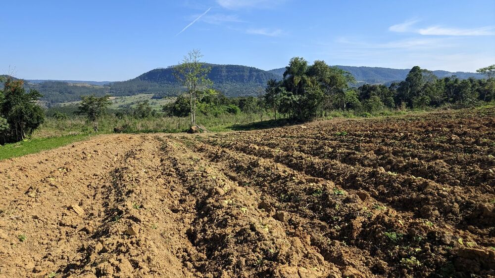 Terreno, 5 hectares - Foto 11