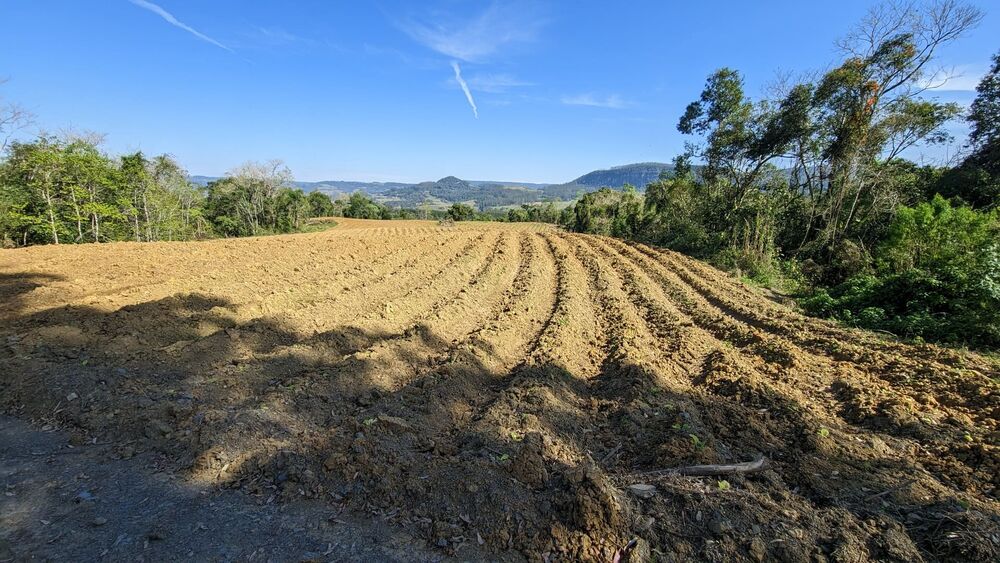 Terreno, 5 hectares - Foto 1