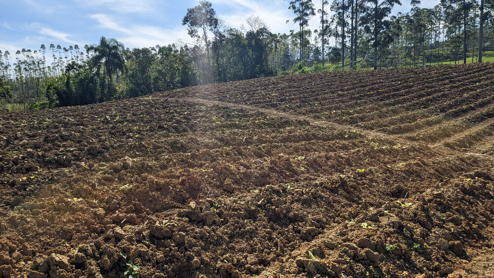 Terreno, 5 hectares - Foto 9