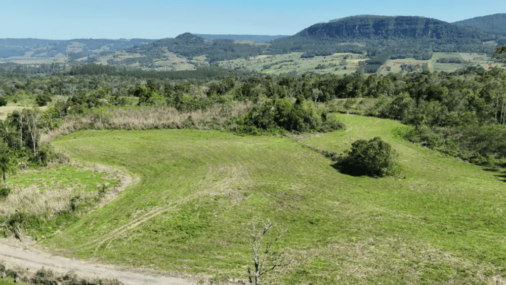 Terreno, 5 hectares - Foto 16