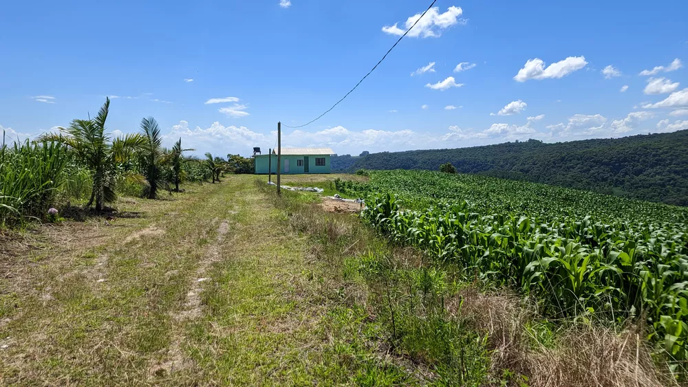Sítio, 2 quartos, 3 hectares - Foto 4