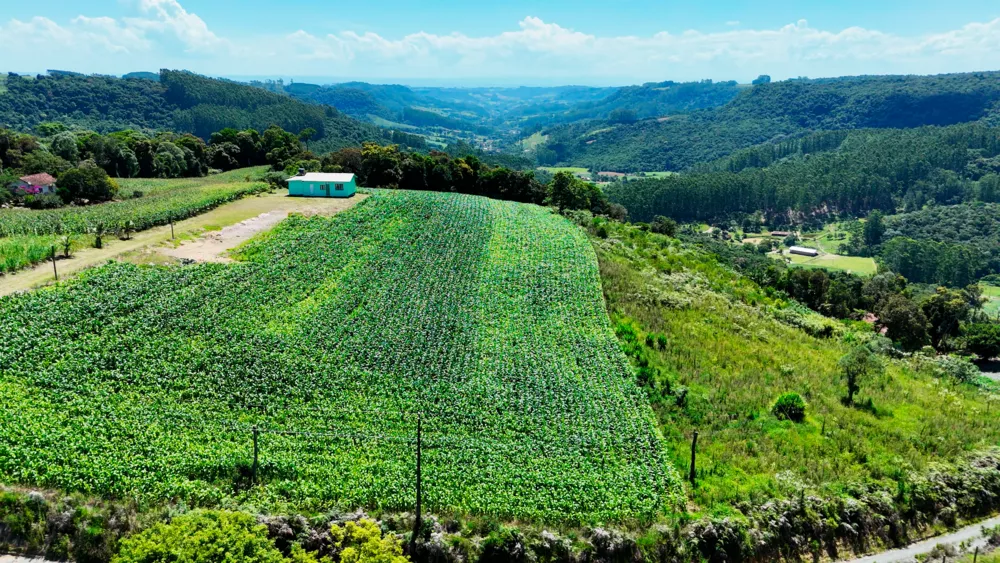 Sítio, 2 quartos, 3 hectares - Foto 7