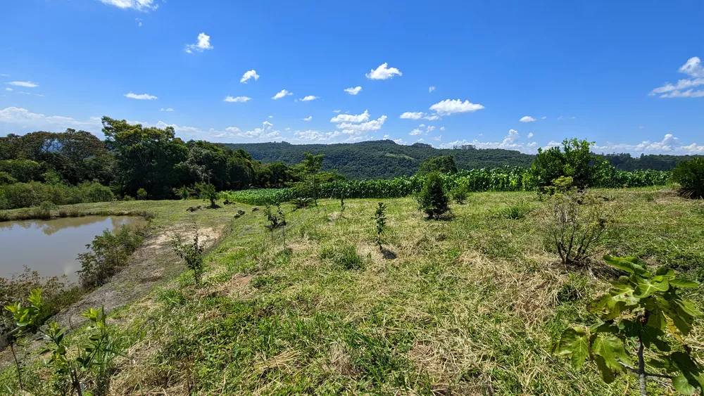 Sítio, 2 quartos, 3 hectares - Foto 2