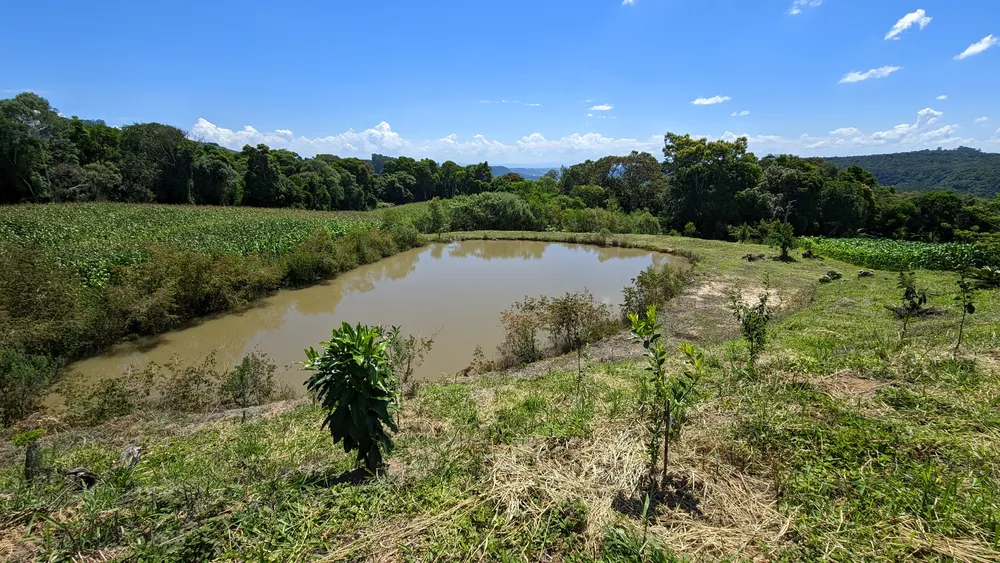 Sítio, 2 quartos, 3 hectares - Foto 8