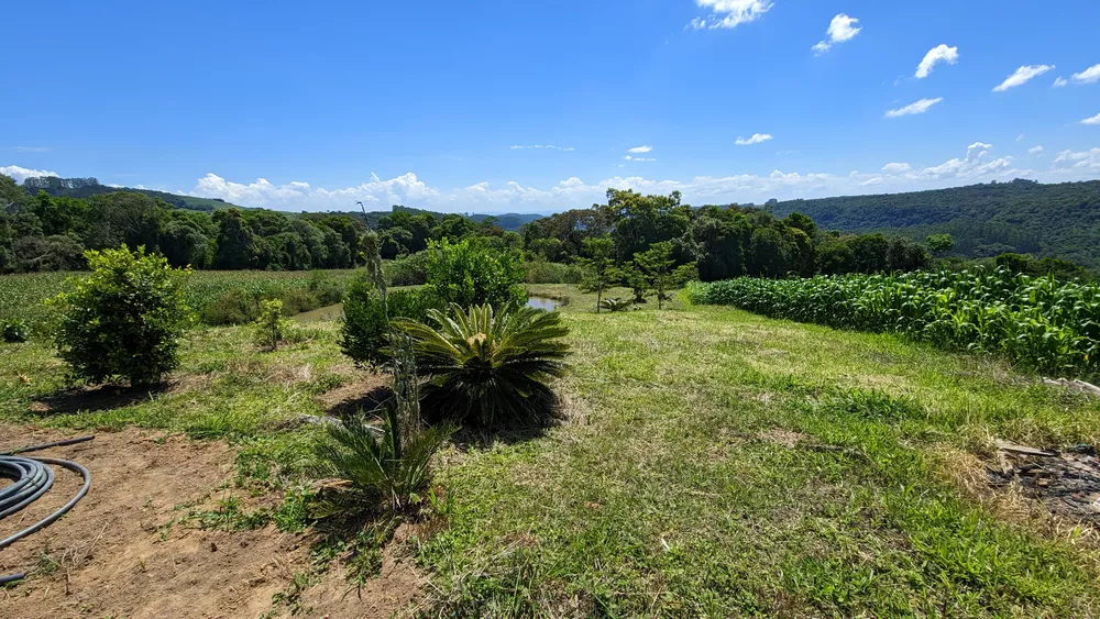 Sítio, 2 quartos, 3 hectares - Foto 1