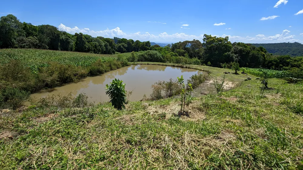 Sítio, 2 quartos, 3 hectares - Foto 3