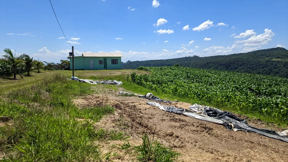 Sítio, 2 quartos, 3 hectares - Foto 6