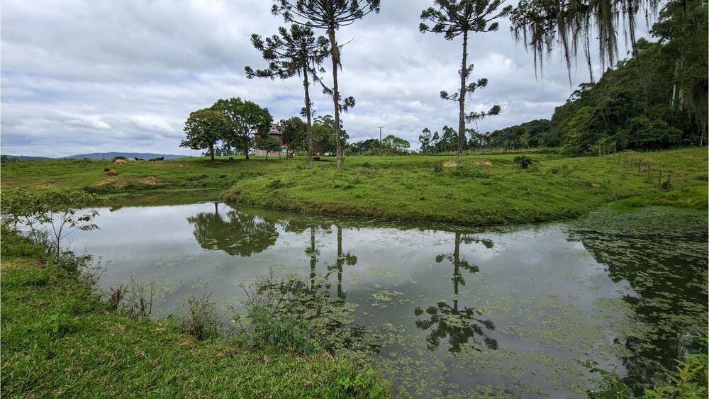 Sítio à venda com 3 quartos, 125000m² - Foto 4