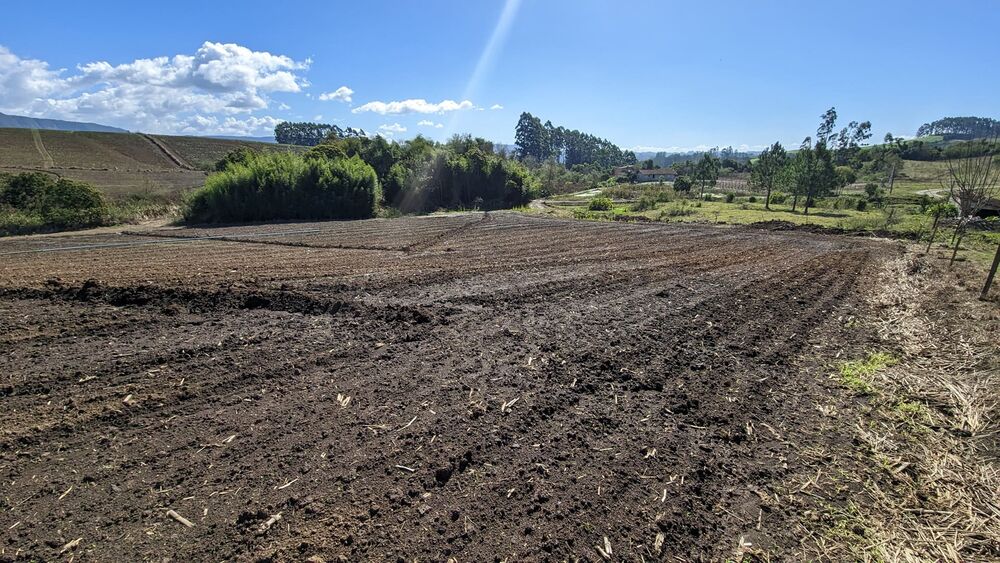 Terreno, 2 hectares - Foto 9