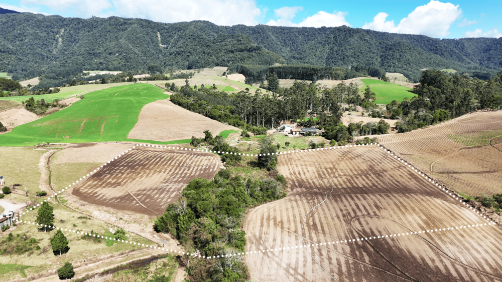 Terreno, 2 hectares - Foto 8