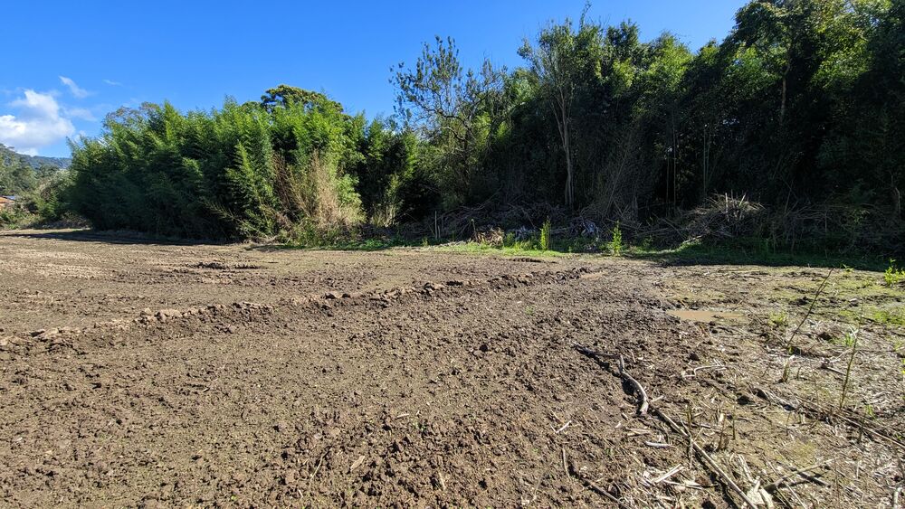 Terreno, 2 hectares - Foto 10