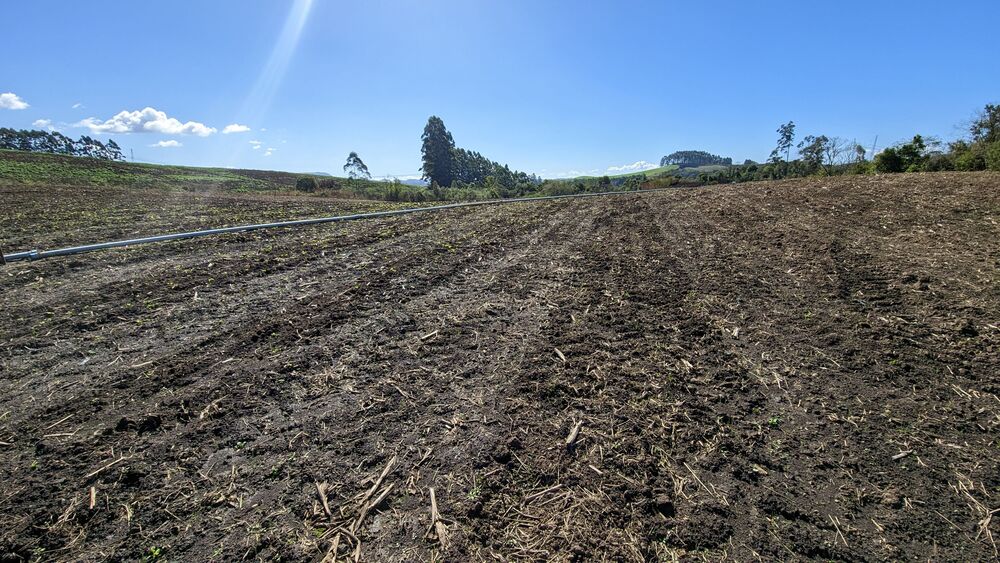 Terreno, 2 hectares - Foto 6