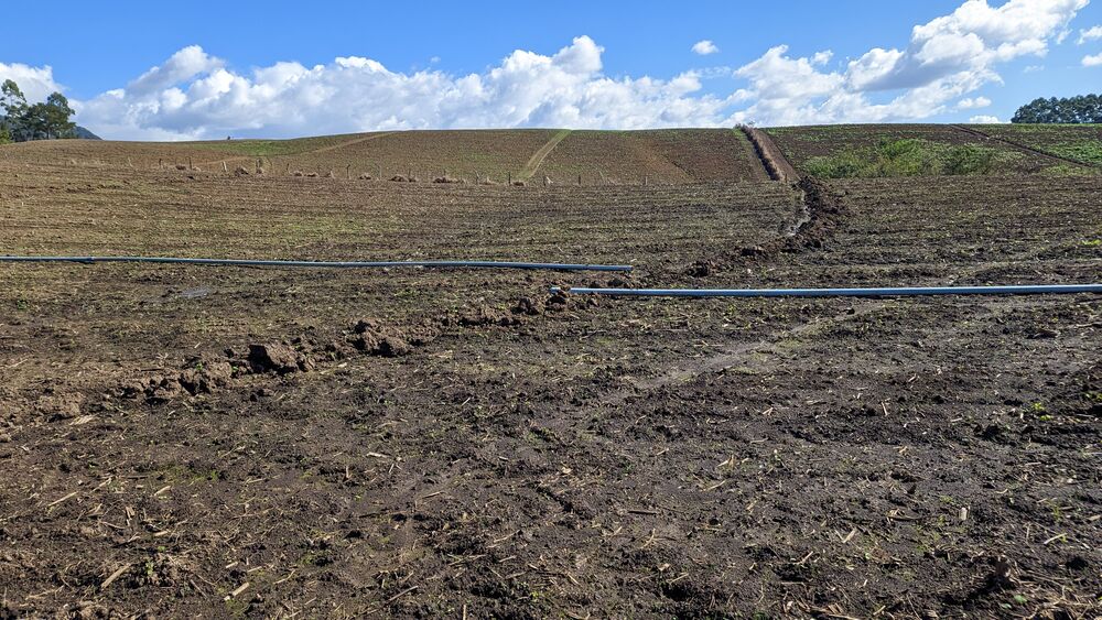 Terreno, 2 hectares - Foto 7