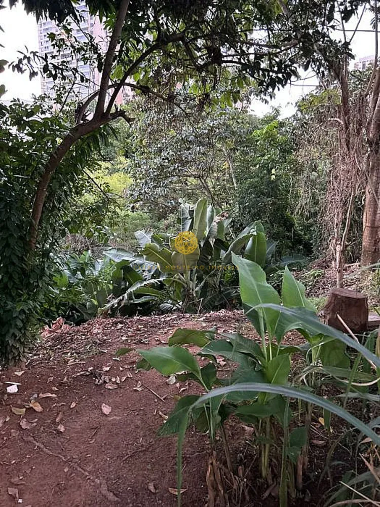 Terreno, 528 m² - Foto 6
