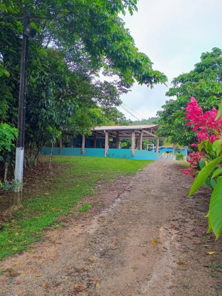 Chácara, 3 quartos, 7260 m² - Foto 6