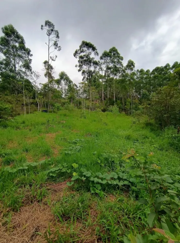 Chácara, 3 quartos, 7260 m² - Foto 1