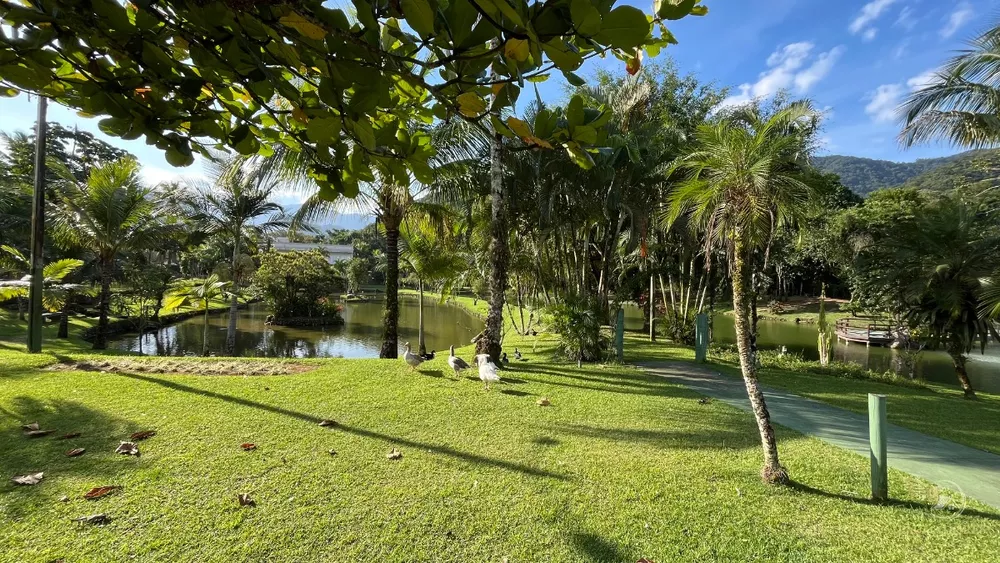 Terreno, 473 m² - Foto 3