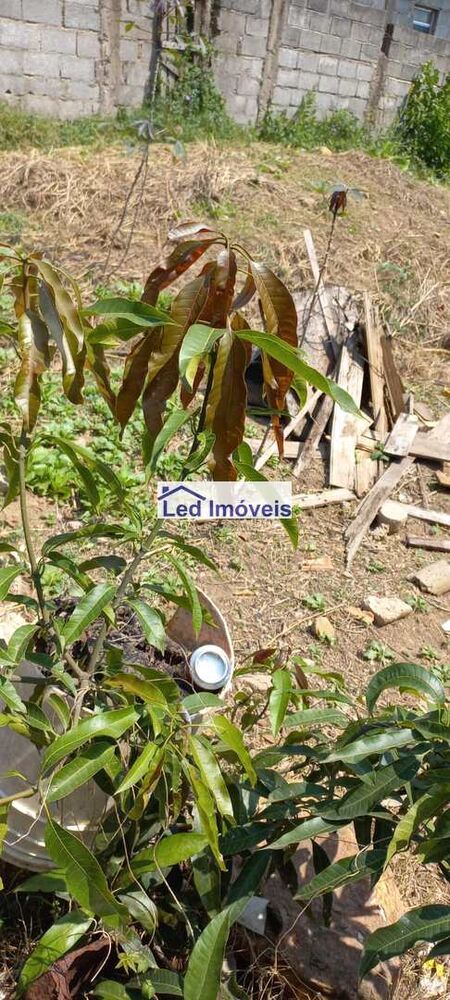 Terreno, 340 m² - Foto 4