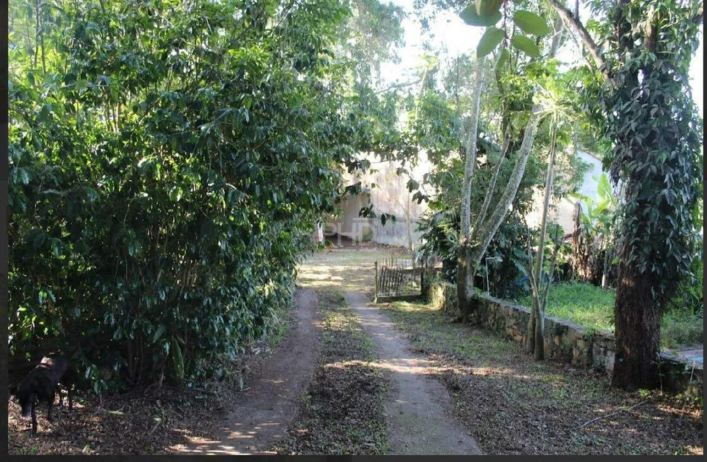 Casa, 3 quartos, 250 m² - Foto 11