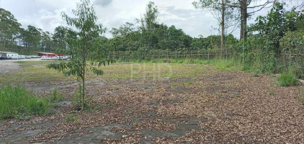 Terreno, 4 hectares - Foto 4