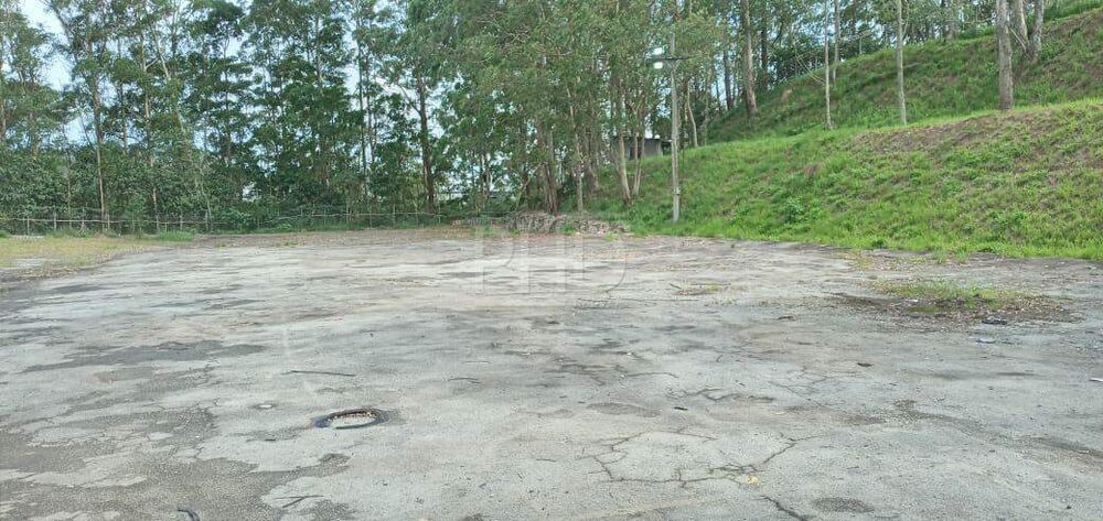 Terreno, 4 hectares - Foto 2