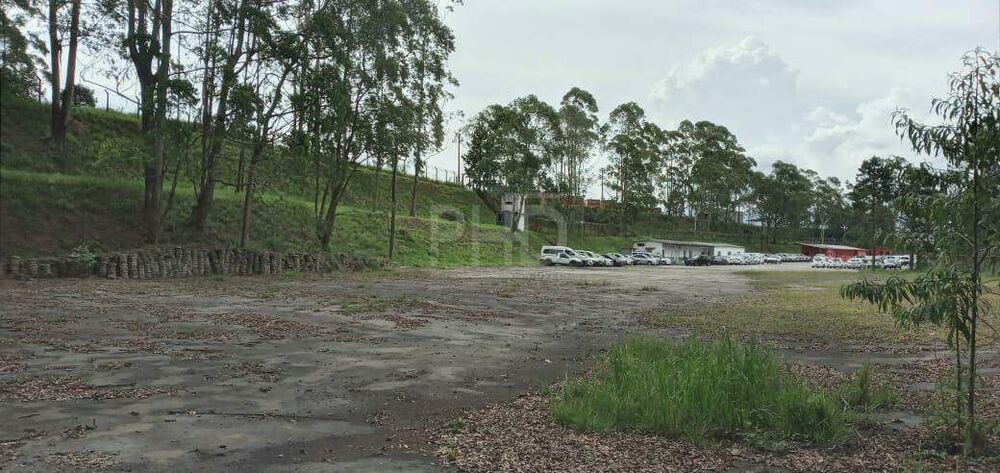Terreno, 4 hectares - Foto 3