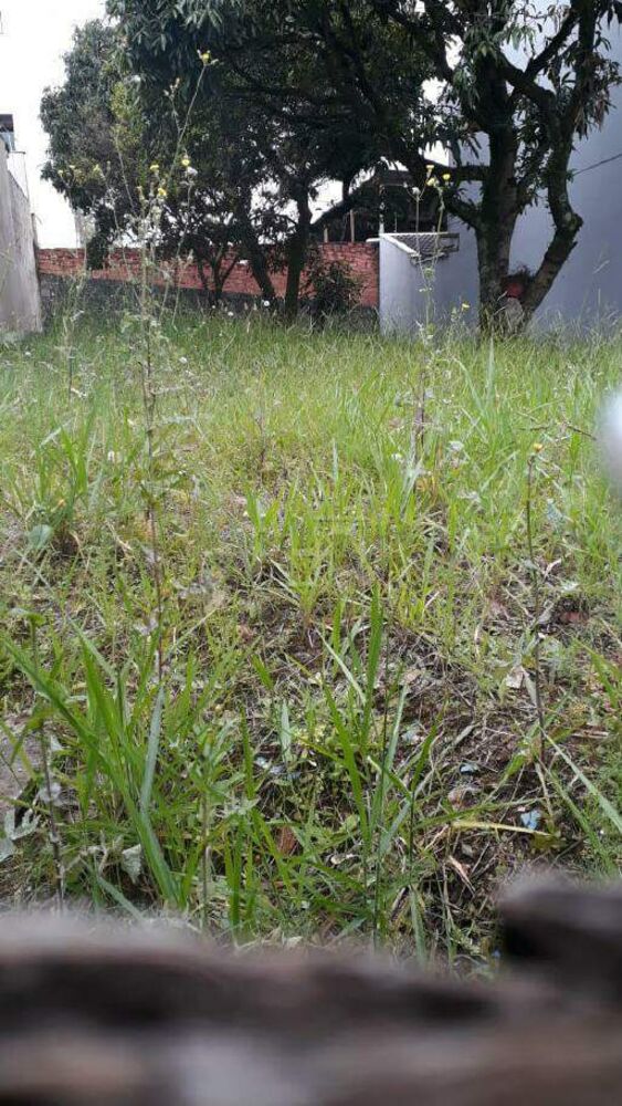 Terreno, 290 m² - Foto 8