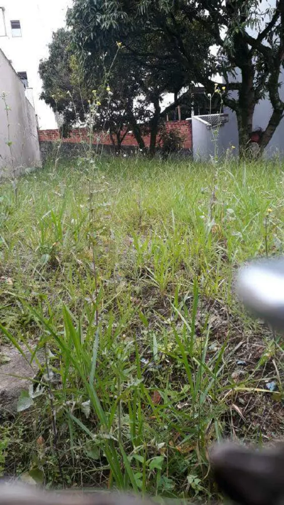 Terreno, 290 m² - Foto 4