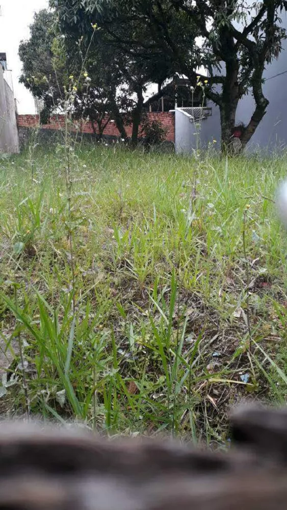 Terreno, 290 m² - Foto 3