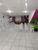 Casa Comercial - Foto 2