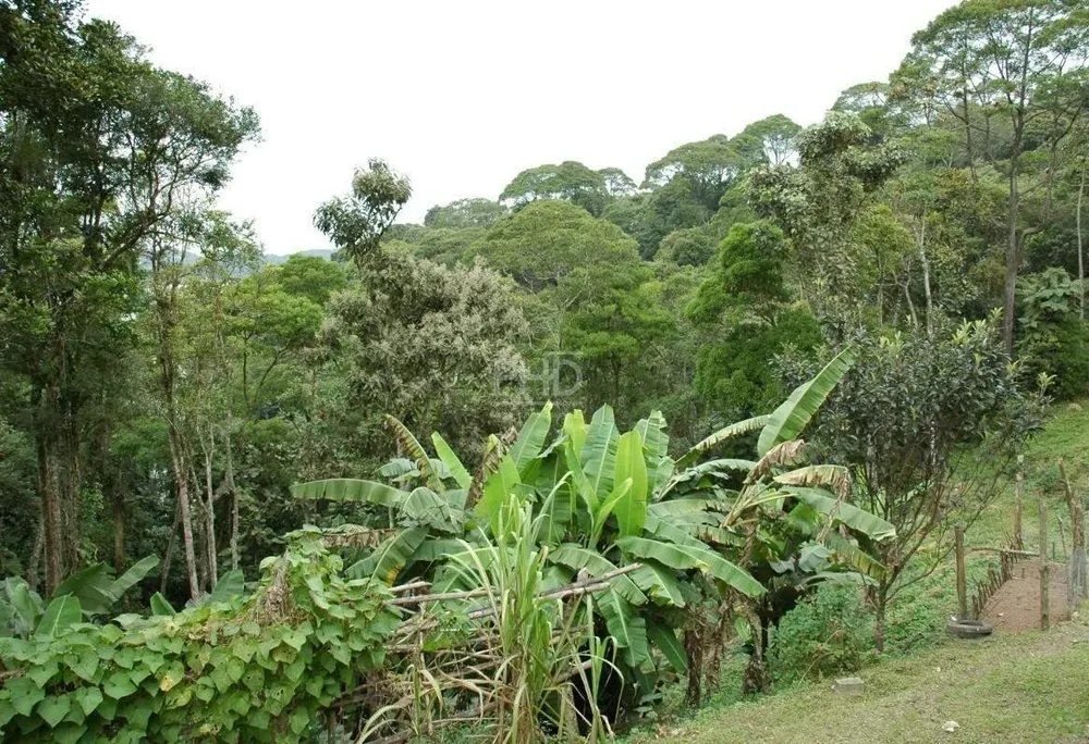 Terreno, 8 hectares - Foto 3
