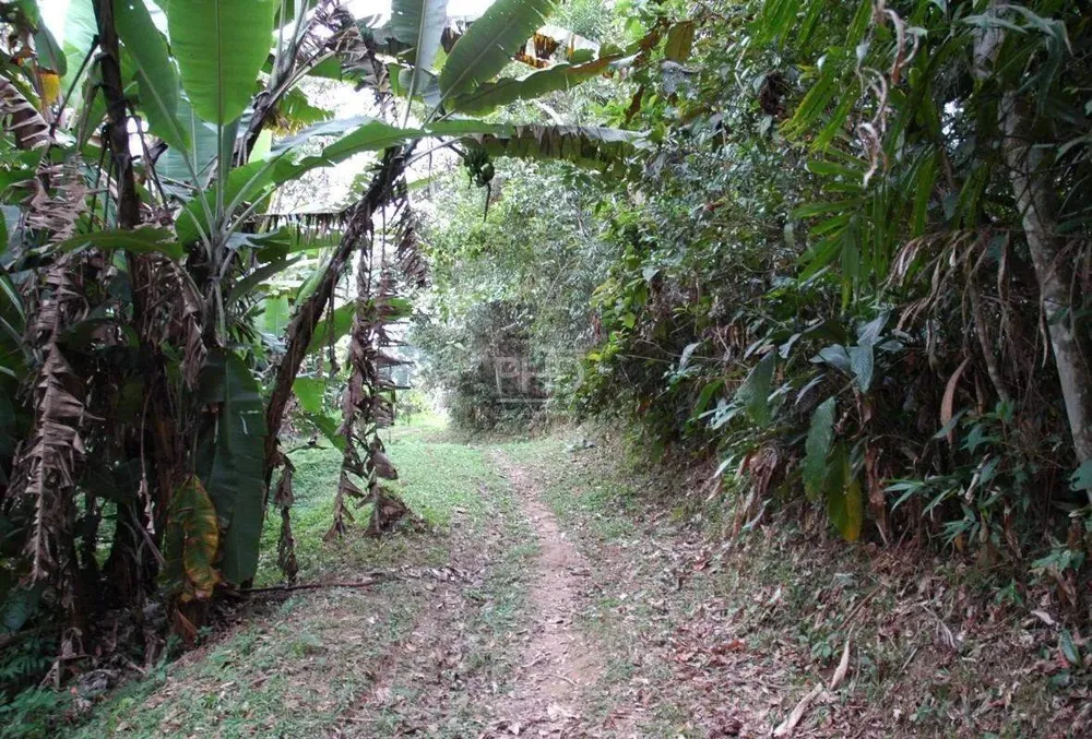 Terreno, 8 hectares - Foto 4