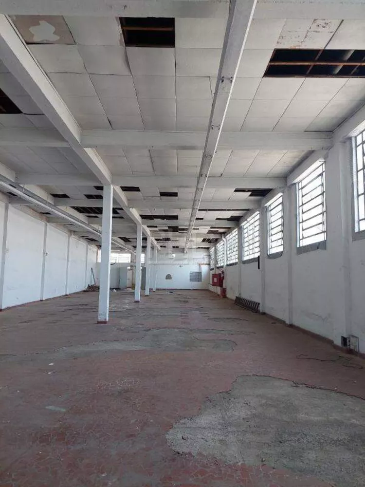 Depósito-Galpão-Armazém para alugar, 450m² - Foto 1