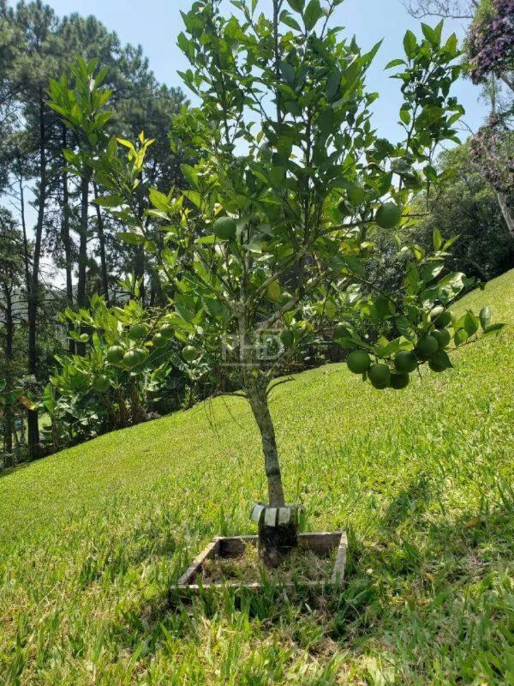 Chácara, 5 quartos, 1 hectares - Foto 14