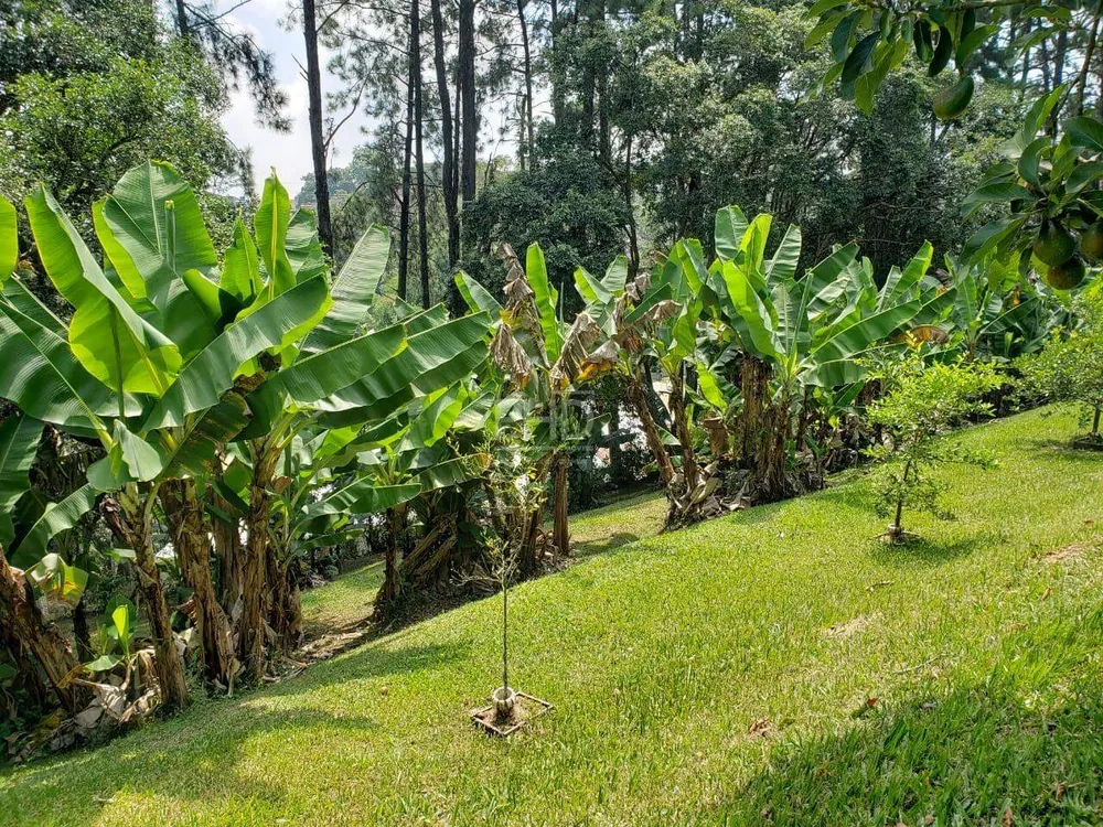 Chácara, 5 quartos, 1 hectares - Foto 12