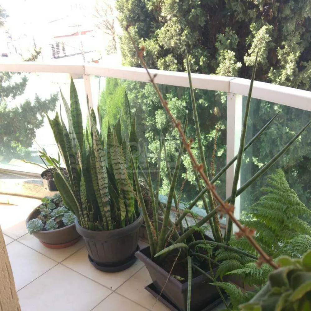 Cobertura, 3 quartos, 230 m² - Foto 22