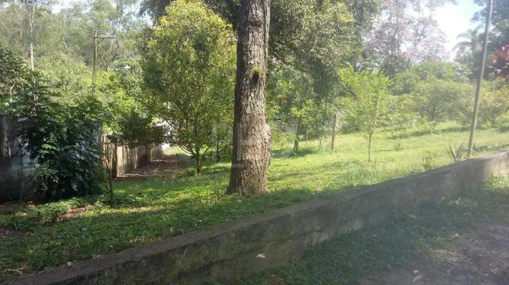 Chácara, 4 quartos, 3050 m² - Foto 3