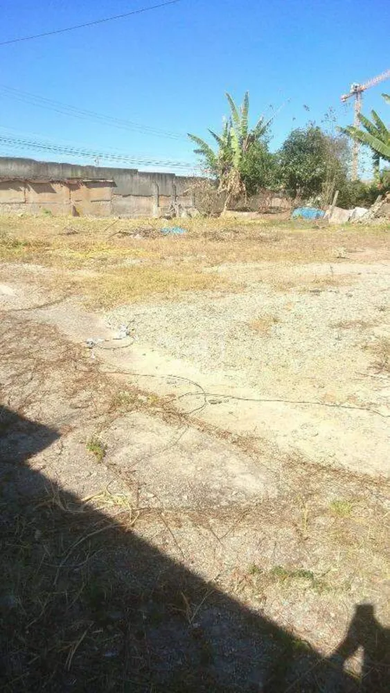 Terreno, 1000 m² - Foto 4