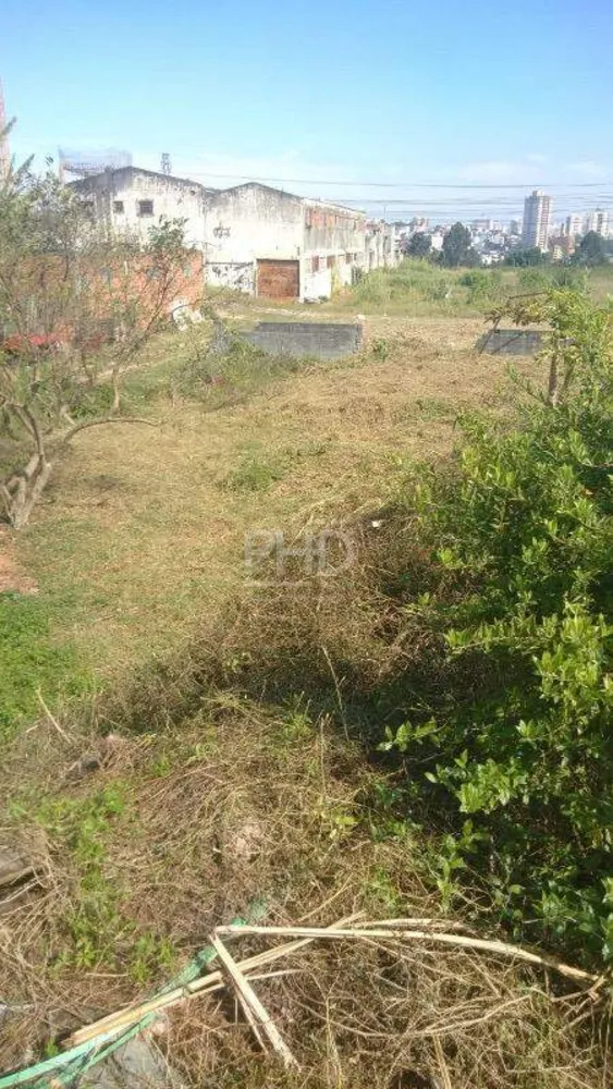 Terreno, 1000 m² - Foto 3