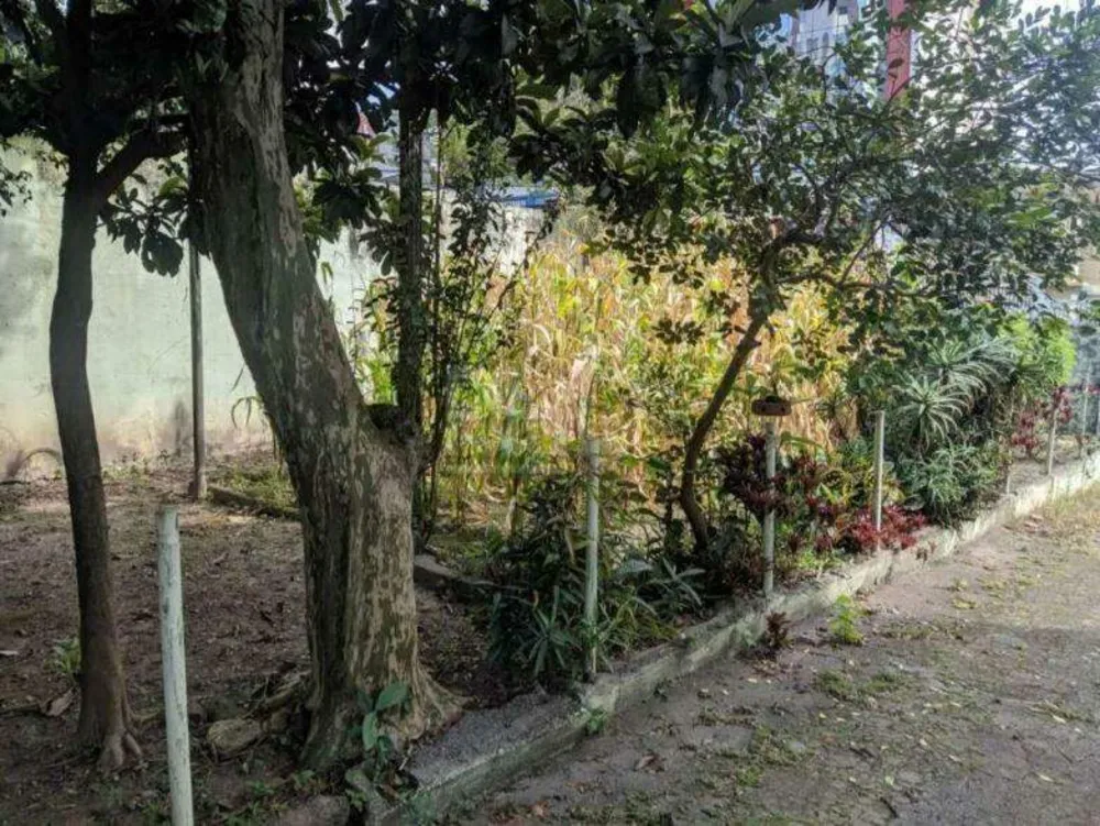 Terreno, 450 m² - Foto 4