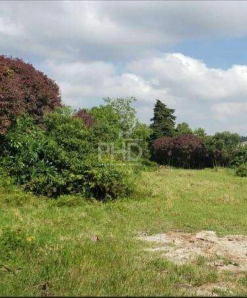 Terreno, 1 hectares - Foto 4