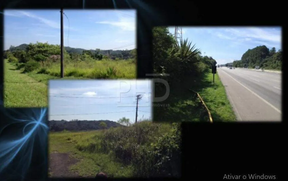 Terreno, 12 hectares - Foto 9