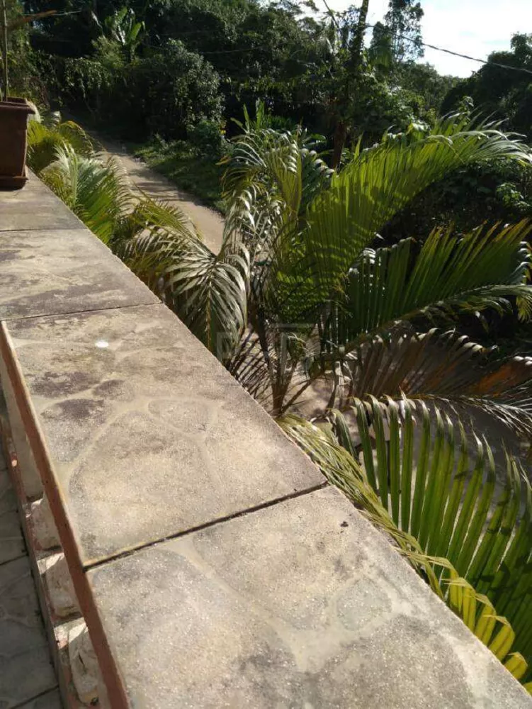 Chácara, 3 quartos, 548 m² - Foto 10