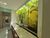 Prédio Inteiro, 210 m² - Foto 4