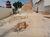 Terreno, 250 m² - Foto 4