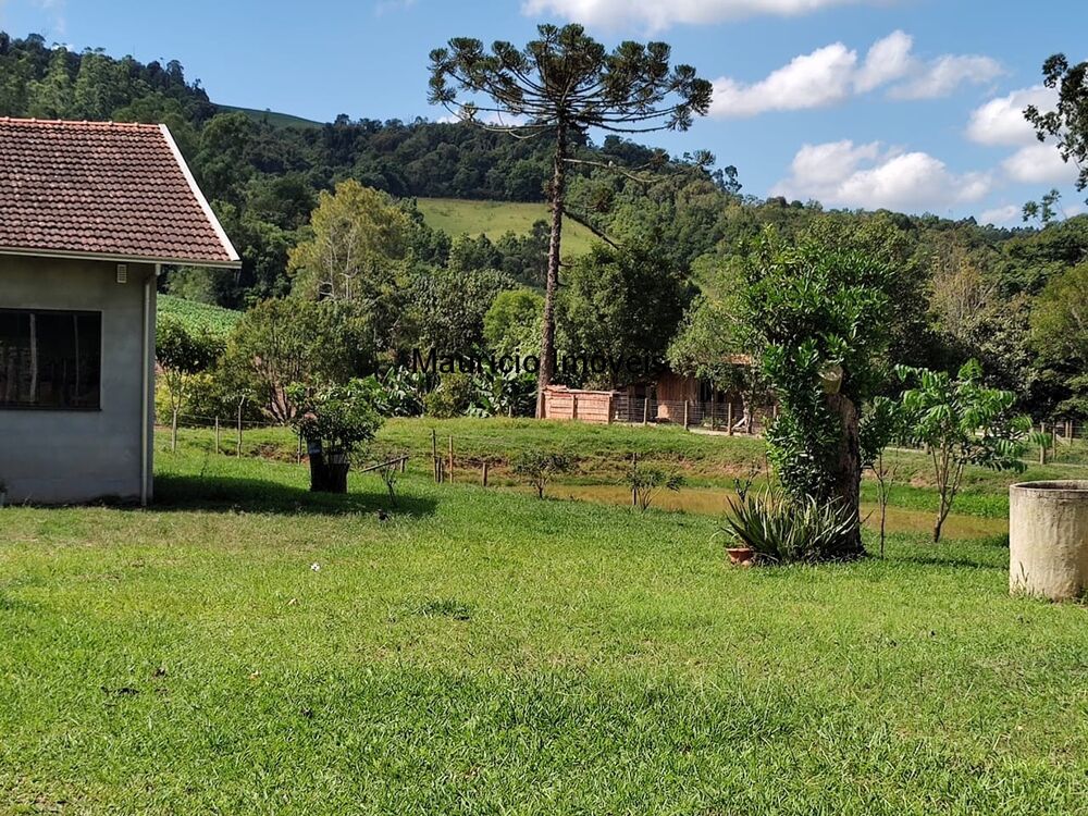 Sítio à venda com 3 quartos, 8077m² - Foto 1
