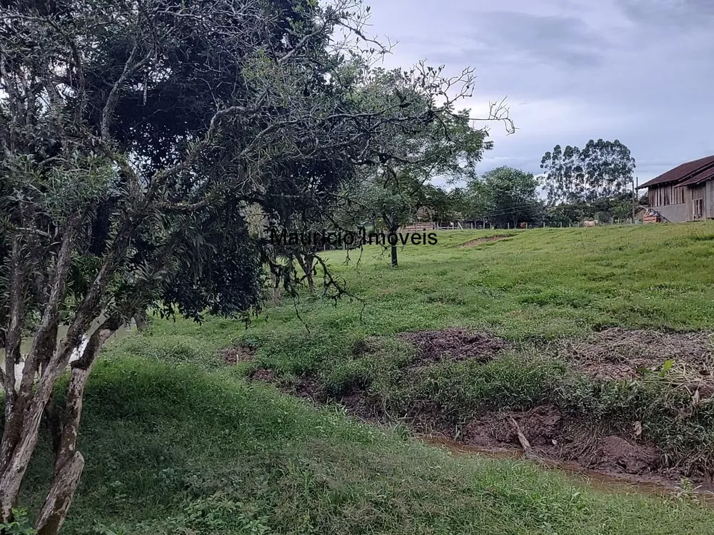 Sítio, 3 quartos, 8077 m² - Foto 9