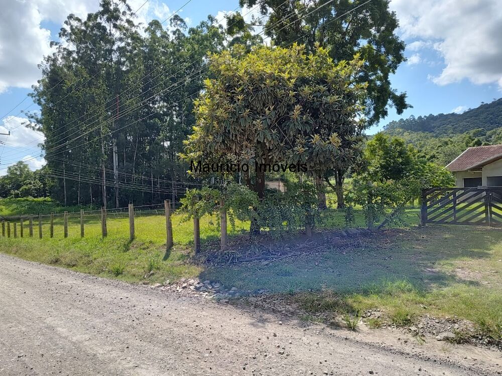 Sítio à venda com 3 quartos, 8077m² - Foto 5