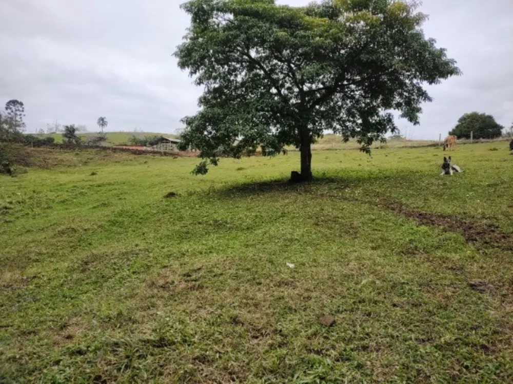 Sítio, 4 quartos, 7 hectares - Foto 7
